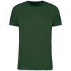 Vert Forêt