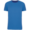 Bleu roi clair
