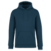 Bleu paon