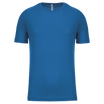 Bleu roi