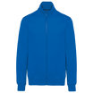 Bleu roi clair