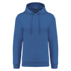 Bleu roi clair