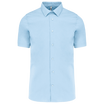 Bleu clair