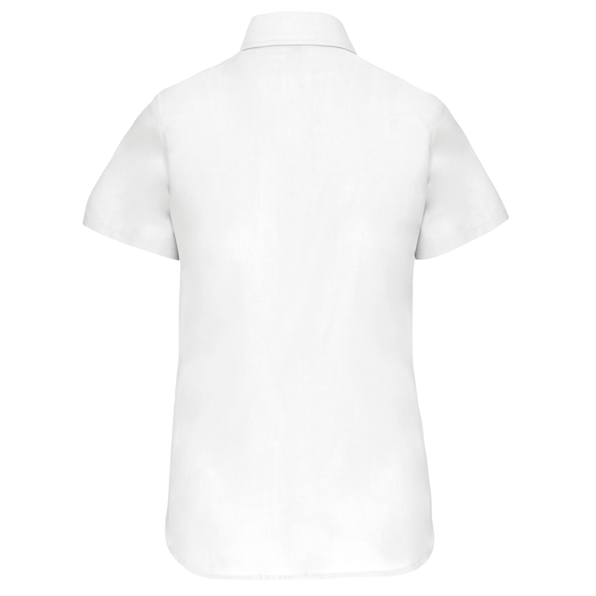 K536 - Chemise Oxford manches courtes femme