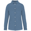 Bleu froid délavé