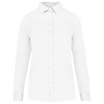 Blanc délavé