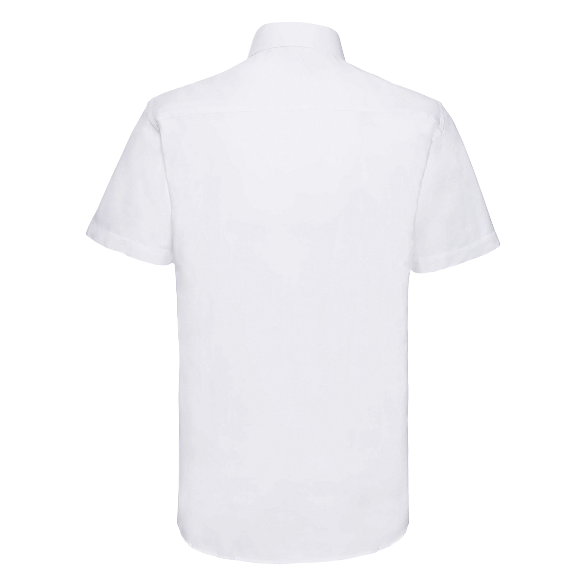 RU923M - Chemise oxford cintrée manches courtes homme