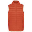 Ocre brûlé
