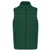 Vert forêt