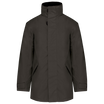 Gris foncé