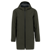 Kaki Organic (Organic Khaki)