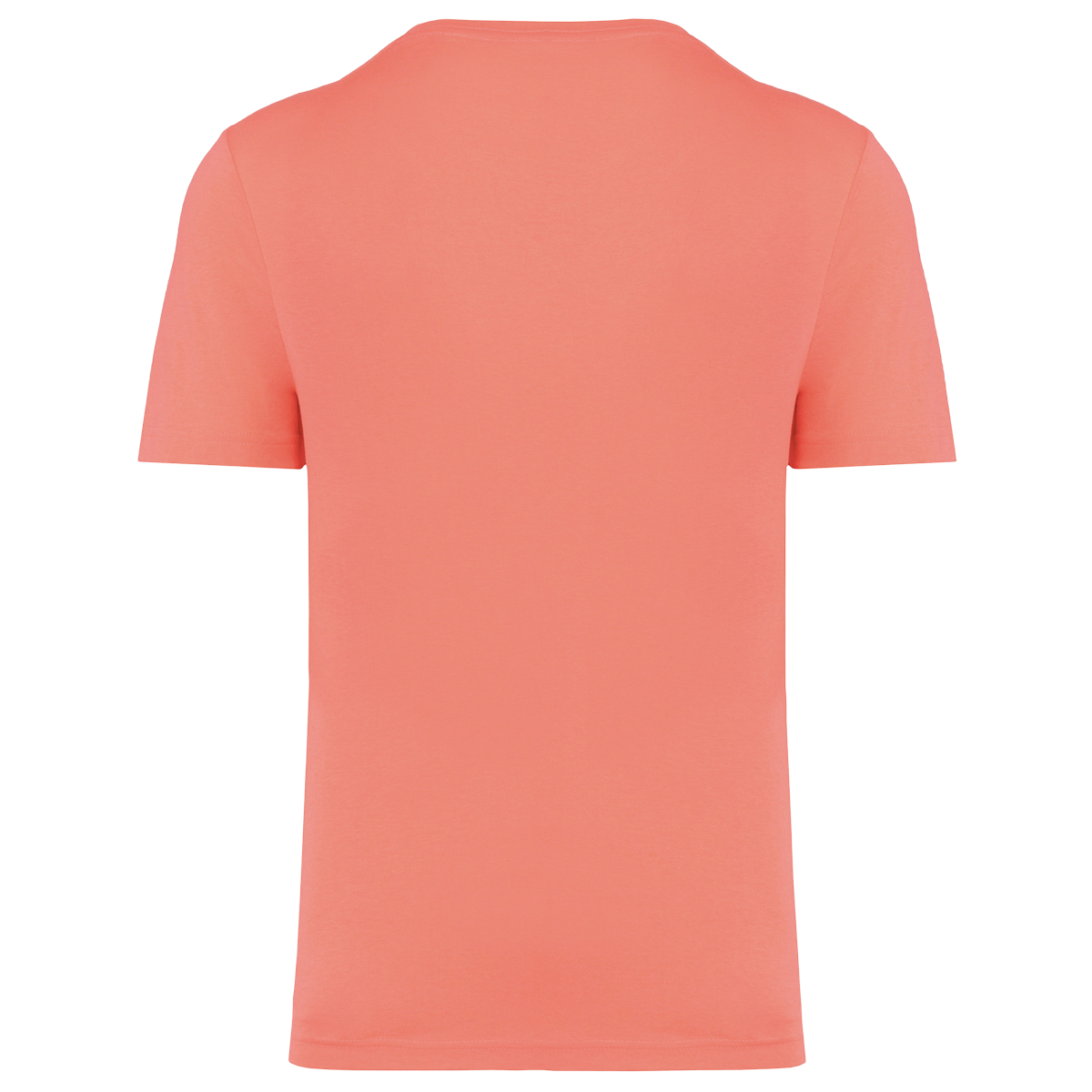 PA4011 - T-shirt triblend sport homme