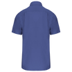 Bleu cobalt