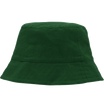 Vert bouteille