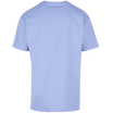 Bleu Voila (Voila Blue)