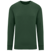 Vert forêt