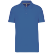 Bleu roi clair