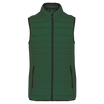 Vert forêt