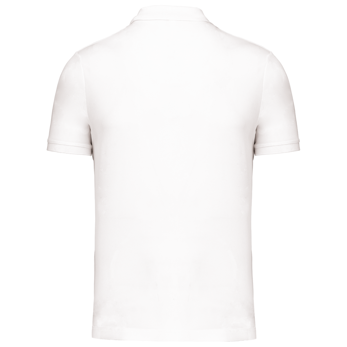 PA489 - Polo piqué performance homme