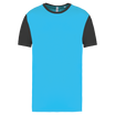 Turquoise clair / Gris foncé