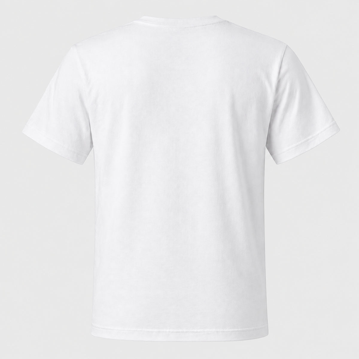 SFM121 - T-shirt Homme Col Rond Elasthane
