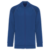 Bleu roi foncé