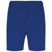 Bleu roi foncé