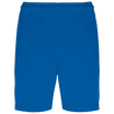 Bleu roi sport