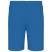 Bleu roi sport